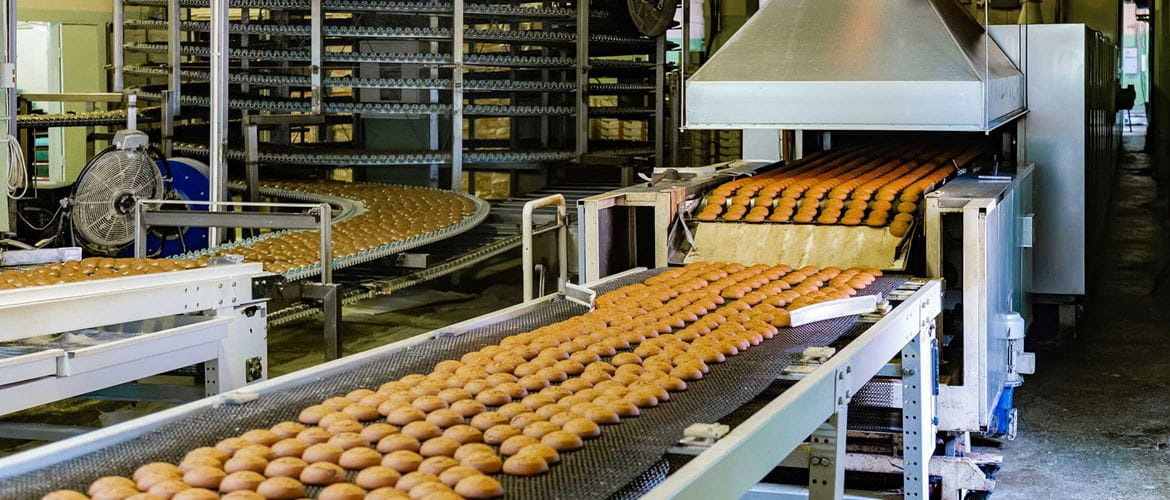 Food production conveyor belt in a factory