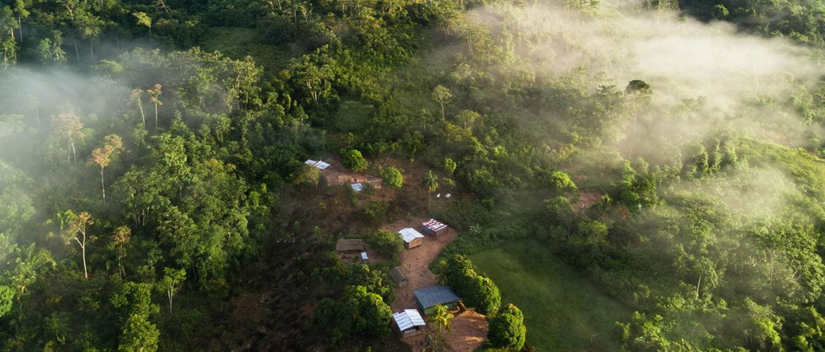 Genesteld tussen de bomen, ligt het Asháninka dorp Taroveni diep in de Peruaanse Amazone