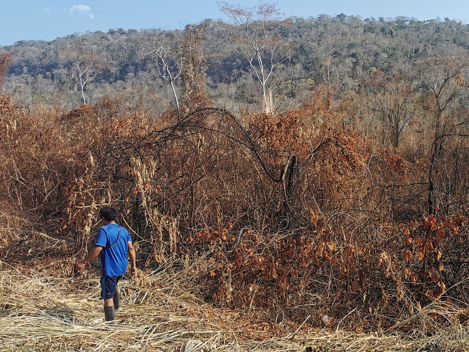 Les conséquences des incendies de forêt dans la communauté de Potsoteni, au Pérou