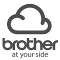 Logotyp połączenia webconnect firmy Brother