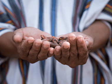 pohľad zblízka na ruky držiace kakaové bôby