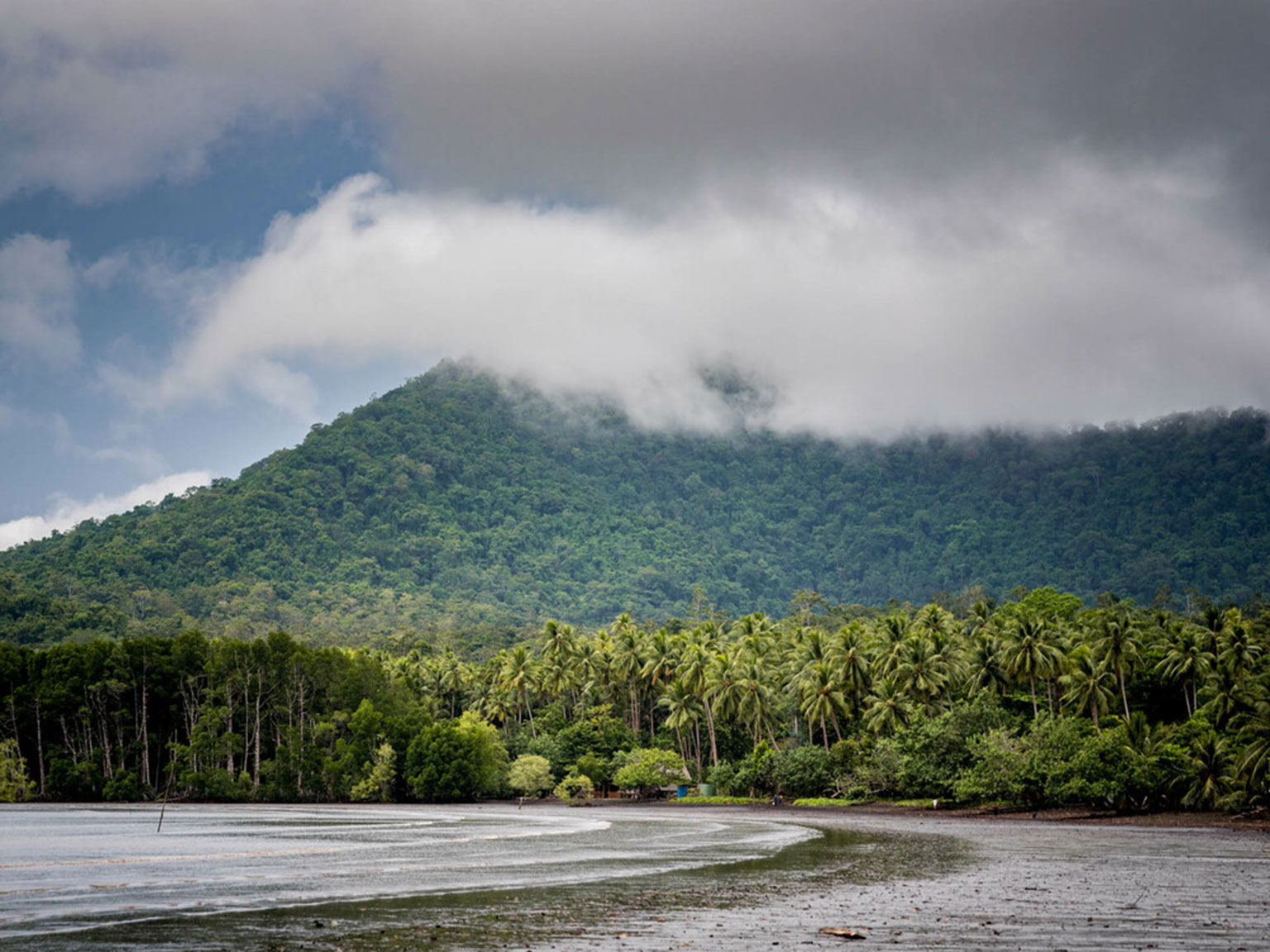 A beach with a green forest in the distance with clouds above