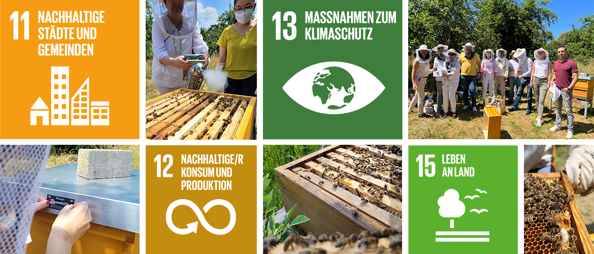 Bildercollage mit Fotos des Brother Bienenprojekts und den SDG-Zielen 11, 12, 13 und 15 der Vereinten Nationen. 