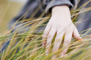 Hand streicht durch hohes Gras