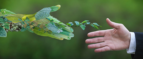 Grüne Hand aus Blättern und menschliche Hand greifen nacheinander. 