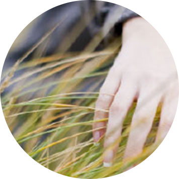 Eine Person streicht mit der Hand durch hohes Gras