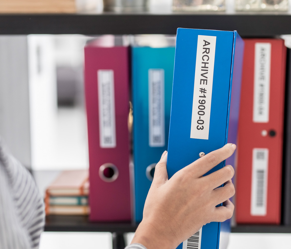 Organisierte Regale im Home Office mit beschrifteten Kisten und Ordnern und einer kleinen Pflanze in der Mitte