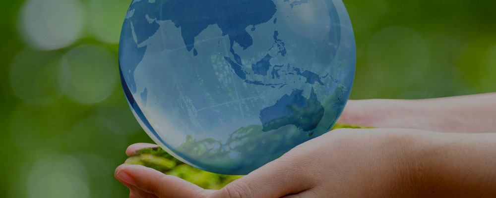 Green transparent globe on green grass