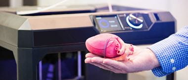 Persona sujetando maqueta de corazón impreso en 3D