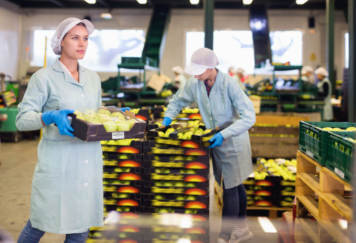 Soluciones de etiquetado Brother para el Sector hortofrutícola