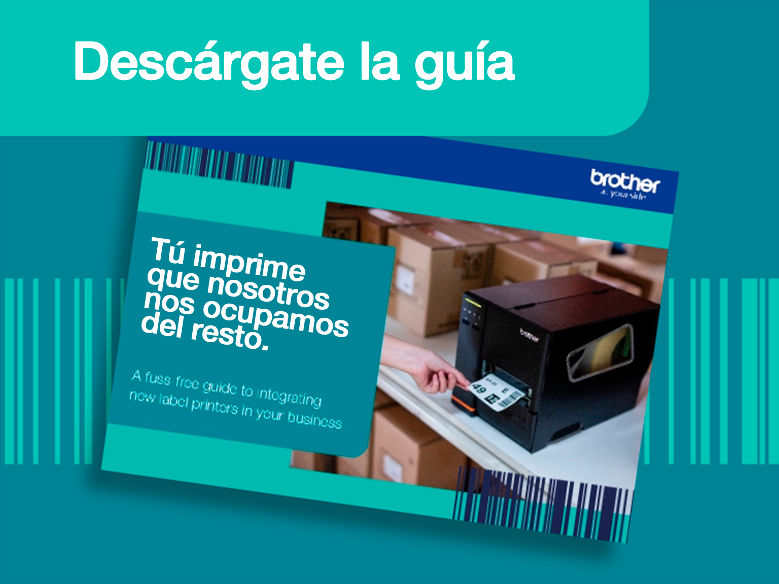 quick-access-guide2 es