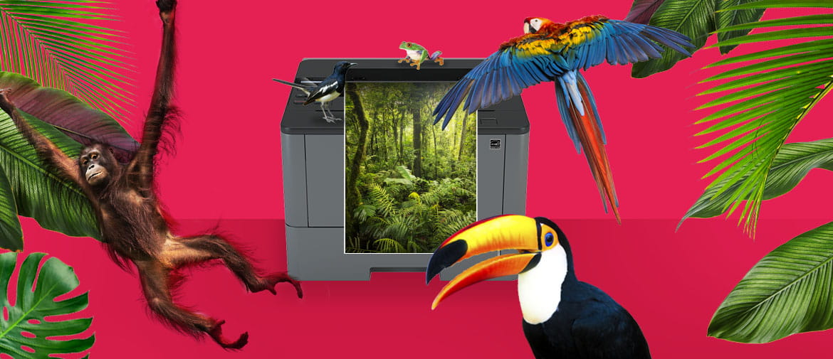 A Brother printer printing a rainforest scene against a colourful pink background of exotic animals, birds, plants and trees to signify our environmental commitment
