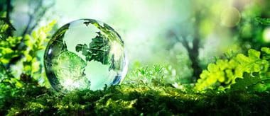 Why seamless sustainability programmes mean the Earth to customers cover