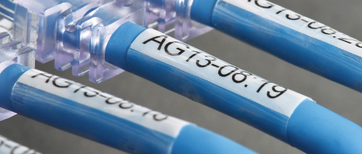 A close-up of three, light blue network cables with black-on-white labels