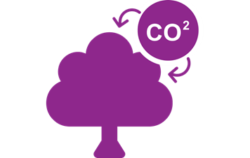 Violetinis vaizdas su užrašu CO2 apskritime su rodyklėmis, nukreiptomis į medį