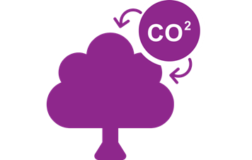 Purple image with the words CO2 in a circle with arrows pointing to a tree