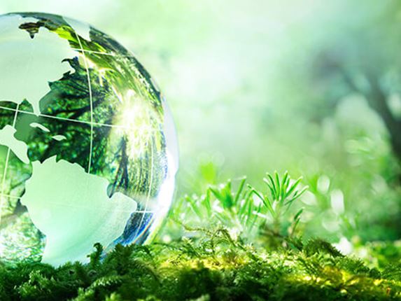 Green transparent globe on green grass