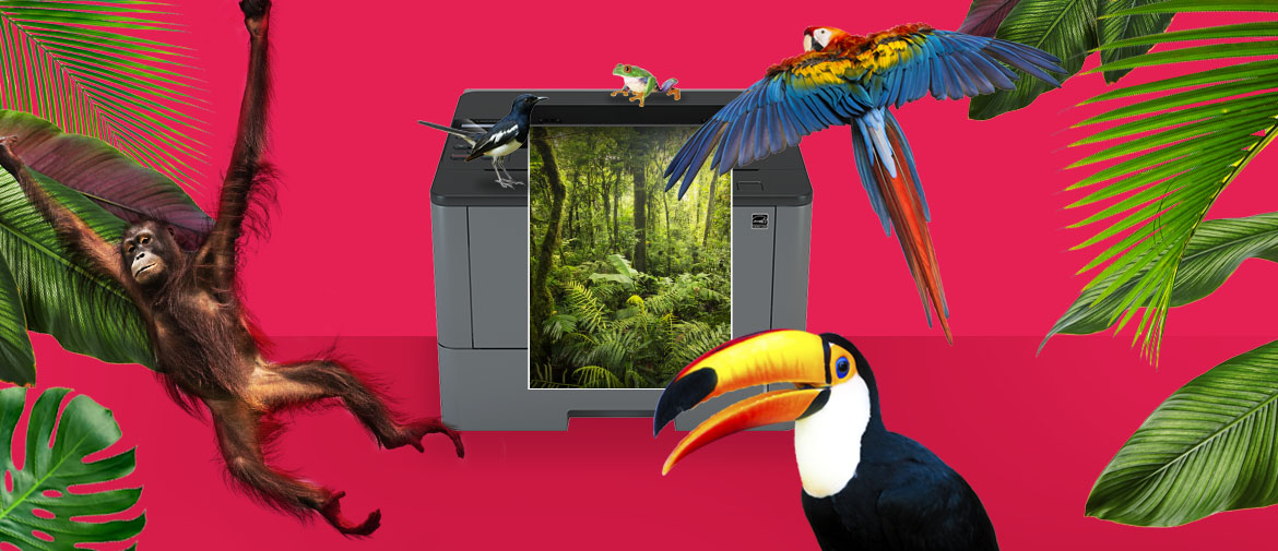 Une imprimante Brother imprimant une scène de la forêt tropicale sur un fond rose coloré avec des animaux exotiques, des oiseaux, des plantes et des arbres pour marquer notre engagement environnemental