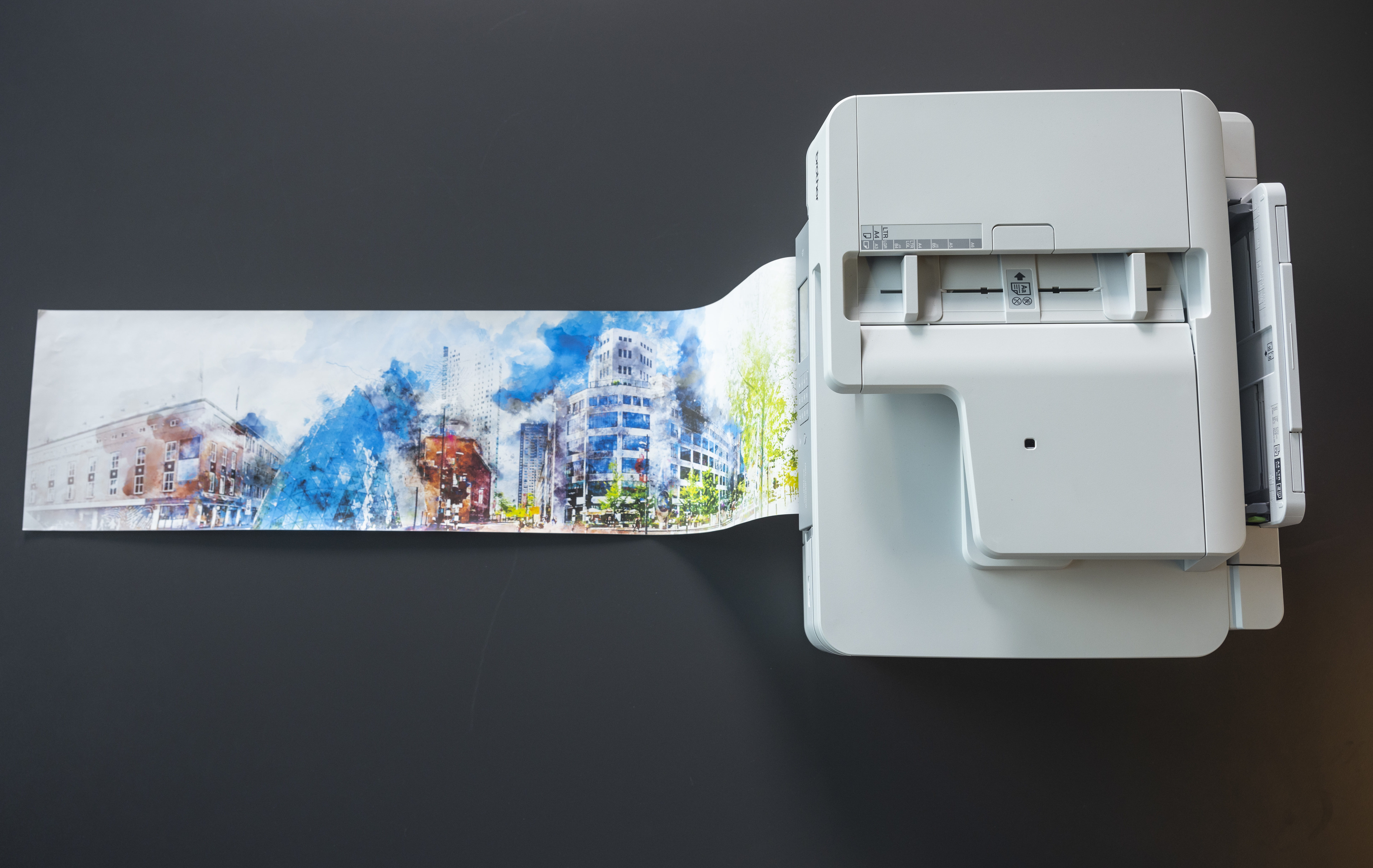Sur l'image, on peut voir l'imprimante MFC-J6959DW en train d'imprimer une photo en grand format.