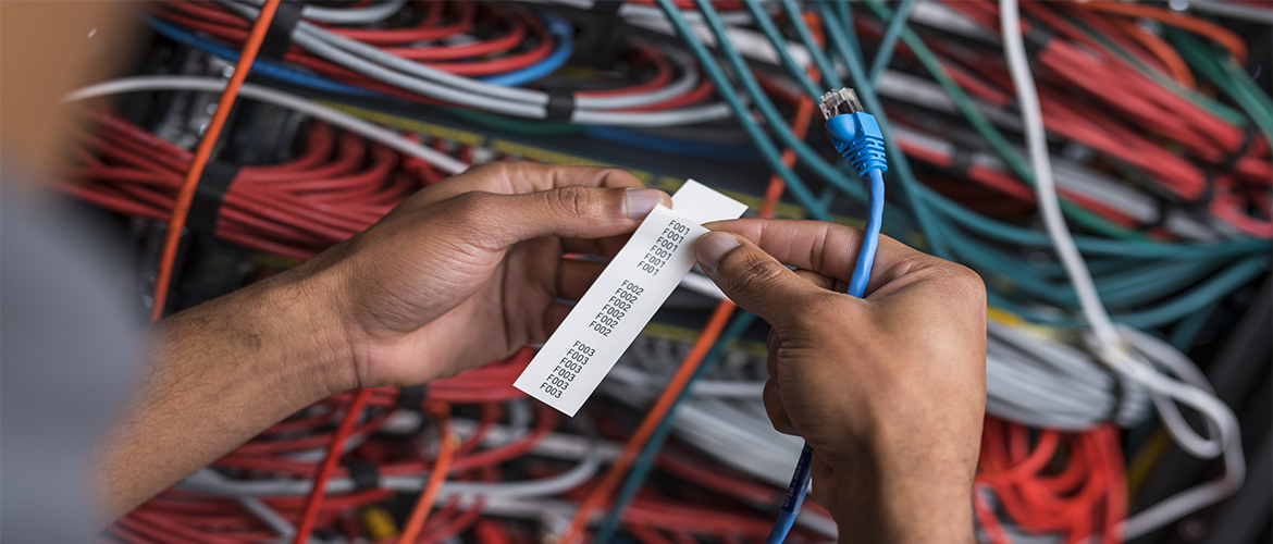 Une personne tient dans ses mains une étiquette qu'elle vient d'imprimer ainsi qu'un câble réseau Ethernet bleu. 