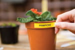 Jardinez plus facilement avec l'étiqueteuse PT-H100