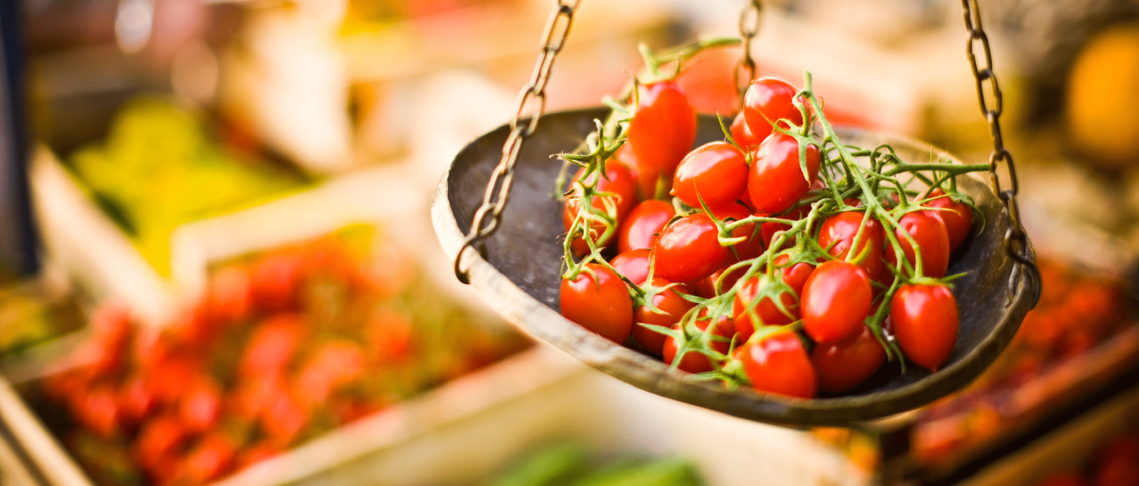 pomodori e altri piatti e ingredienti da servire nella ristorazione