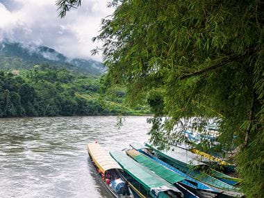 Barche nella foresta pluviale su un fiume