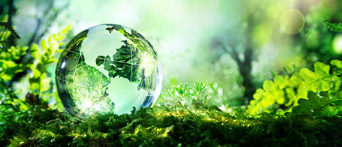 A glass sphere representing planet Earth sits on a green bed of moss and leaves as the sun shines through the globe and illuminates the environment