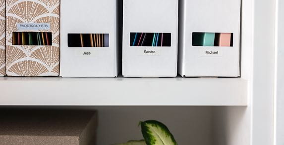 Four white folders containing files on shelves with a plant underneath