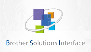 BSI logo