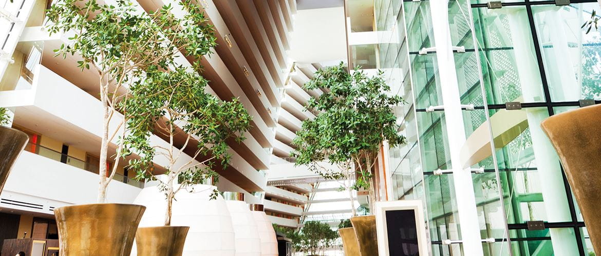 A brightly lit office complex of the future is filled with open spaces and green plants to create a more productive city workplace