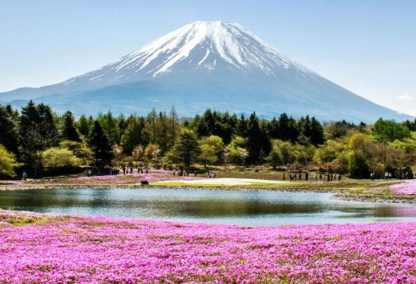 Fuji-vuori, Japani