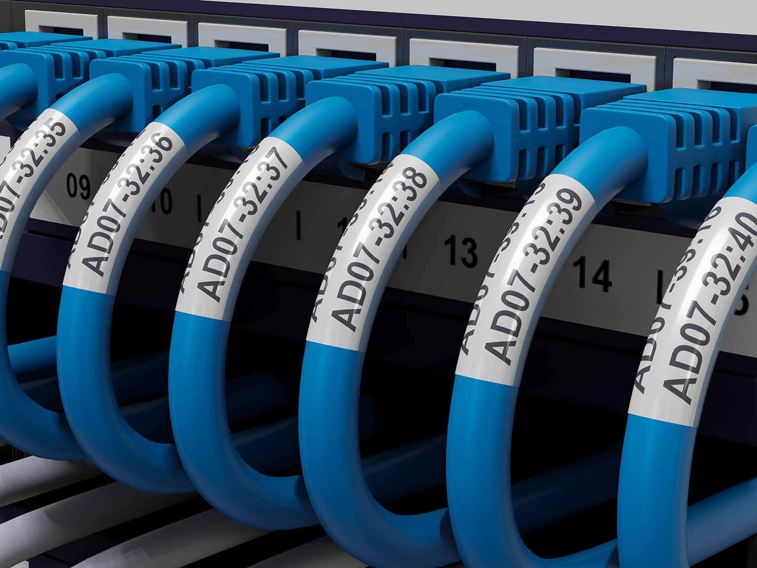 Brother TZe-SL251 black on white self-laminating identification labels applied to CAT5e and CAT6A network and patch cables