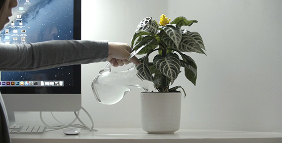 person sat near monitor watering plant