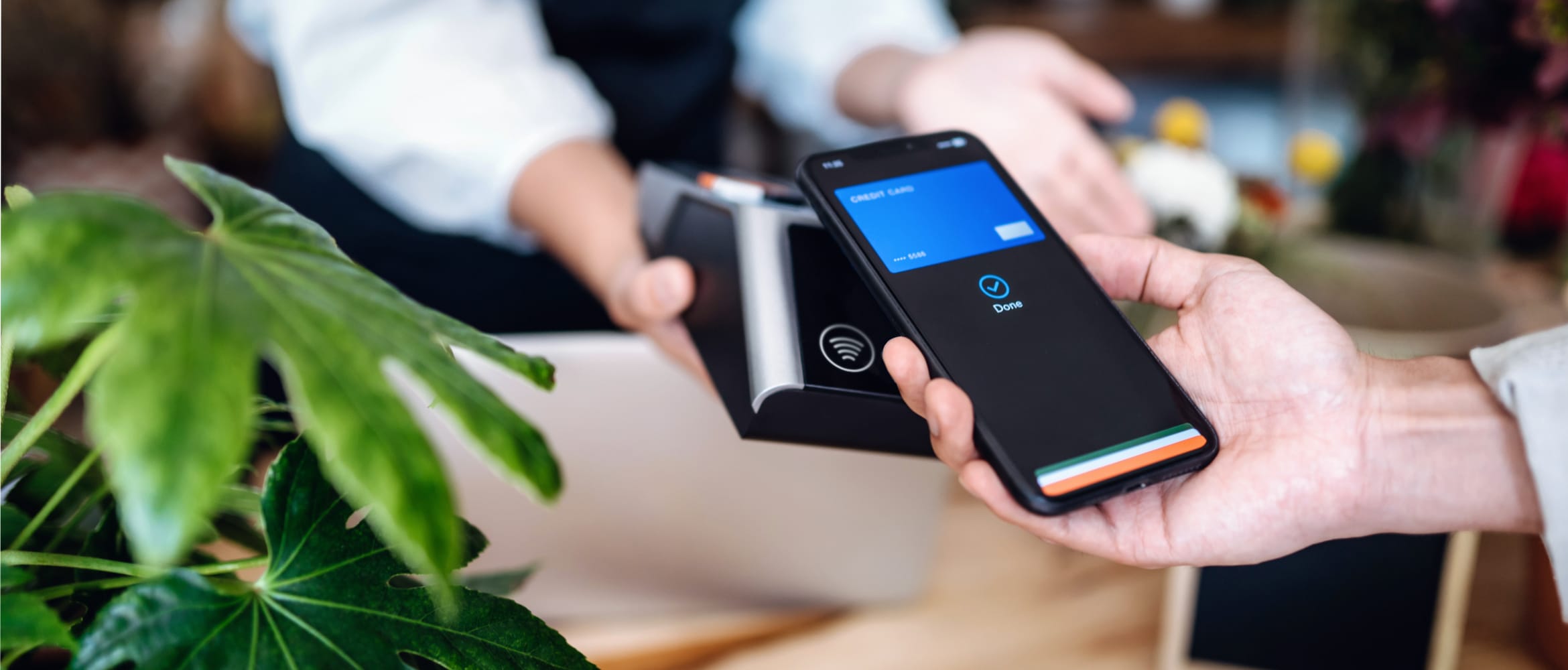 A person making a contactless payment over a counter using a smartphone with a green plant to the side