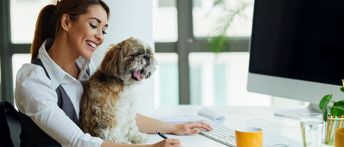 A business woman sat at a desk in front of an all-in-one computer with a small dog on her lap