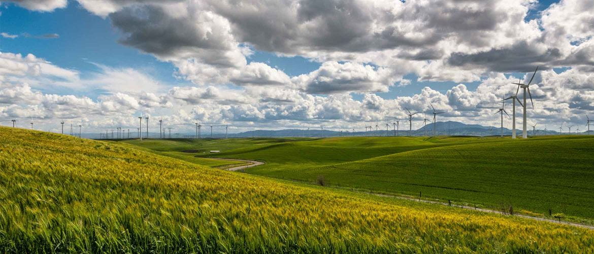 Green fields with wind turbines in the background