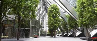 Trees lining an undercover glass and steel structure in a public area of a commercial office space