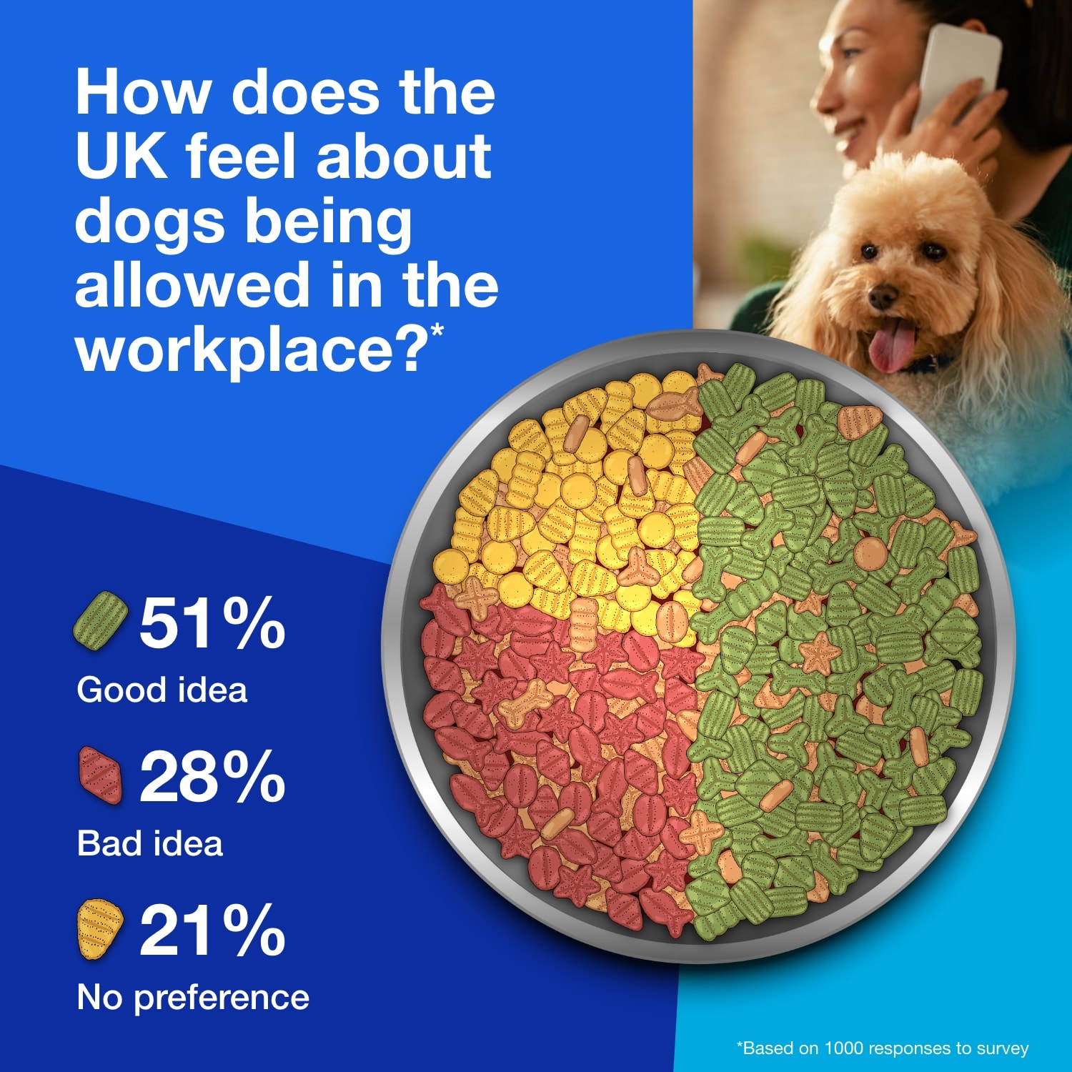 Infographic showing a bowl of dog biscuits divided into percentages to illustrate how the UK feels about dogs being allowed in the workplace