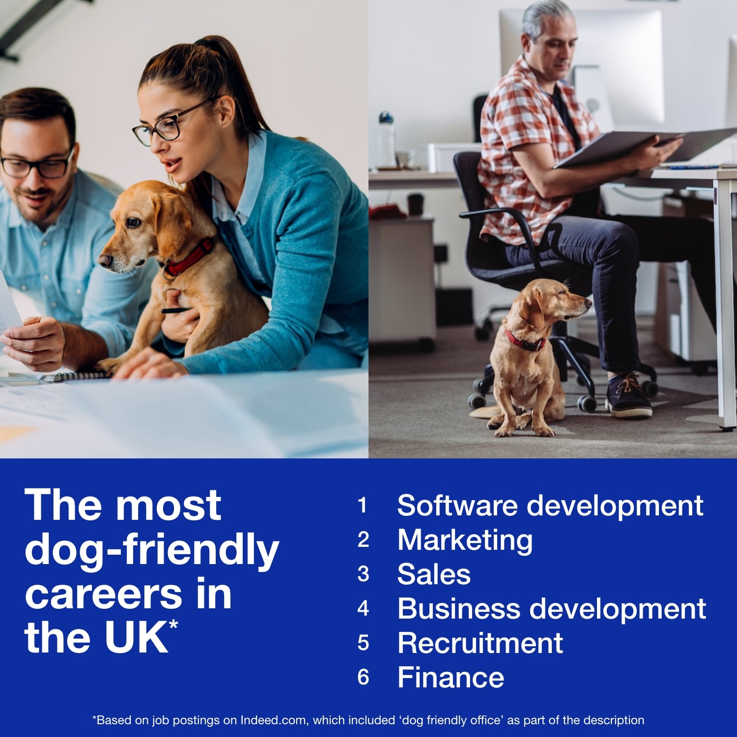 Two images - the first of a man leaning over a work surface with a woman next to him holding a dog, the second of a man working at a desk with a dog by his feet - these represent the most dog-friendly careers in the UK