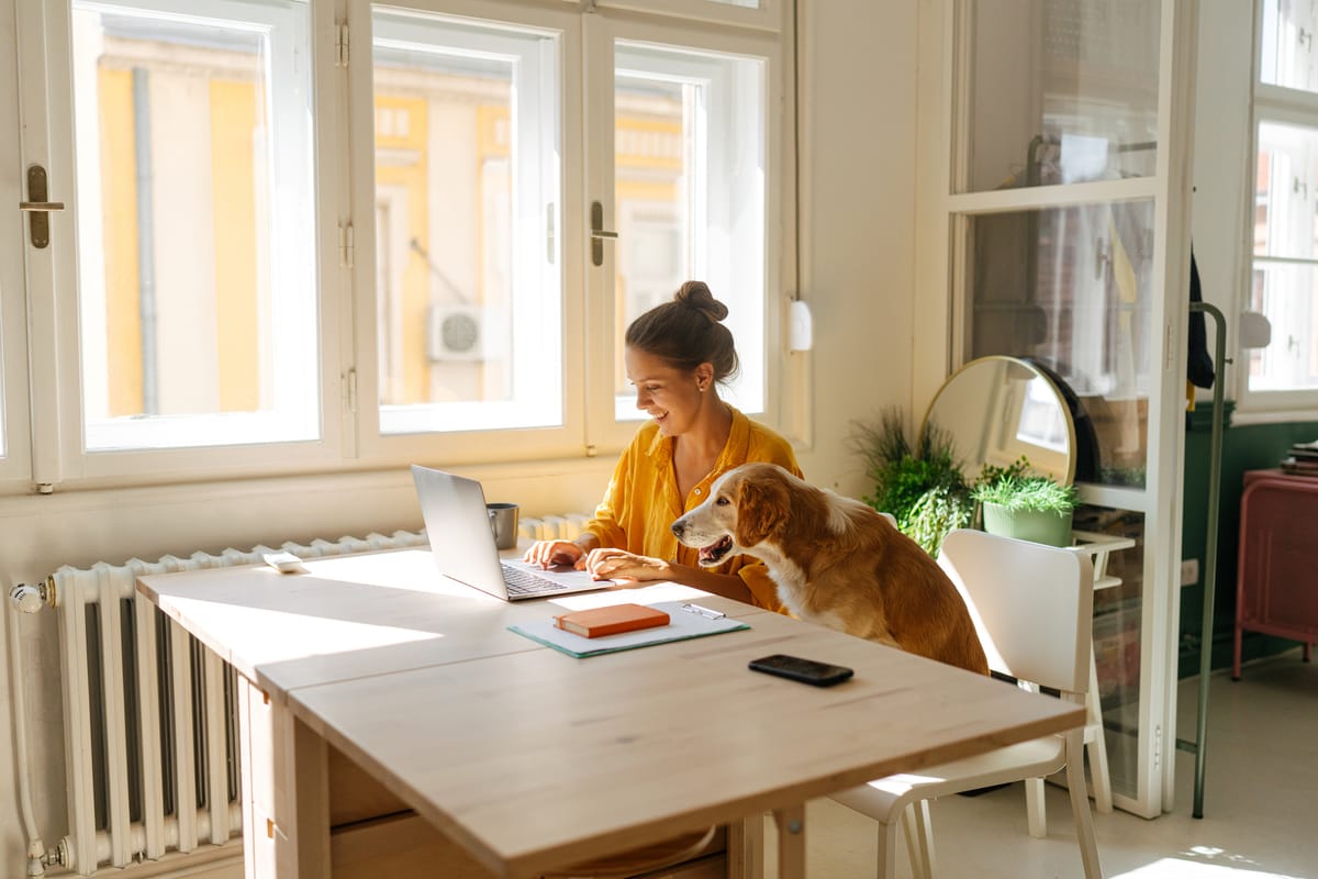 A woman sat working on a notebook computer at a table next to a window in a home environment with her pet dog on a chair by her side