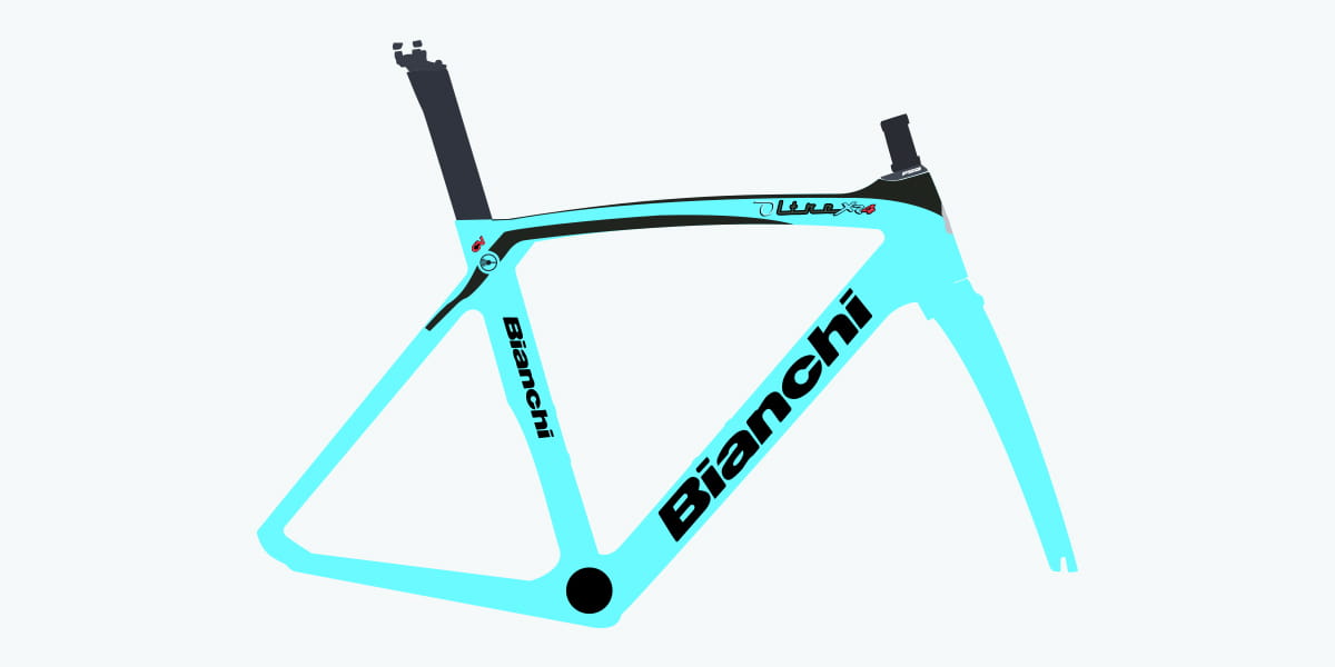 Bianchi chassis from Team OnForm bike
