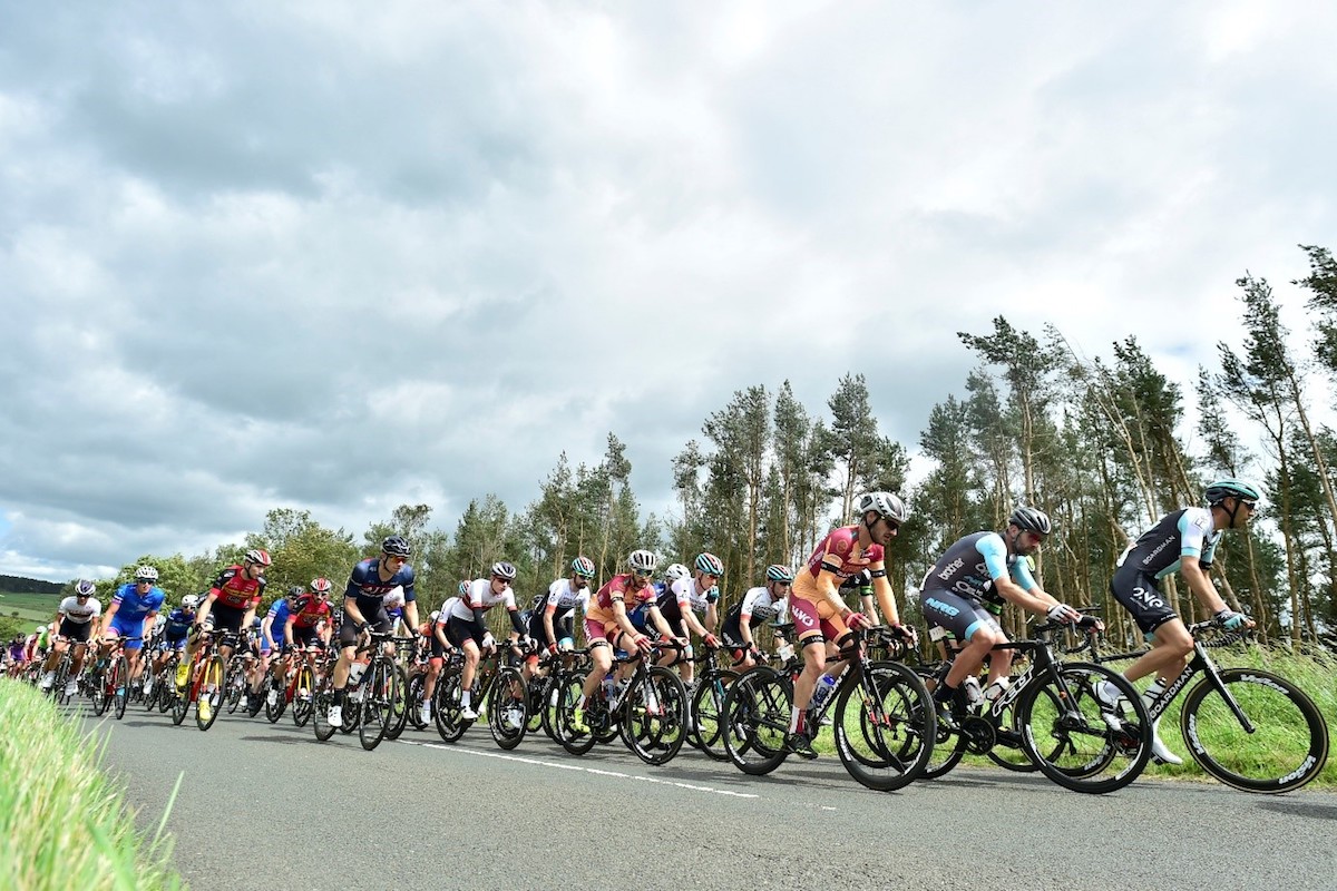busy peloton of cyclists on the road