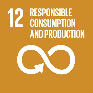 SDG-responsible-consumption-production