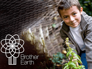 Brother Earth - small boy looking at plant