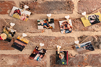 Instant photos of friends, family and pets hung up on brick wall with string and pegs