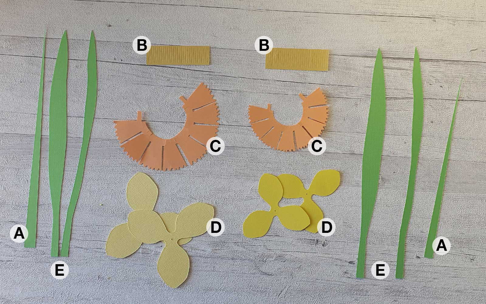 Cut cardstock leaves and petal pieces