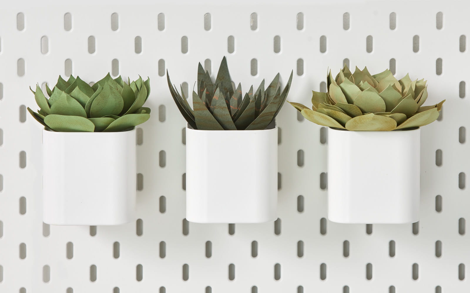 drie papieren vetplanten in witte potten op pegboard