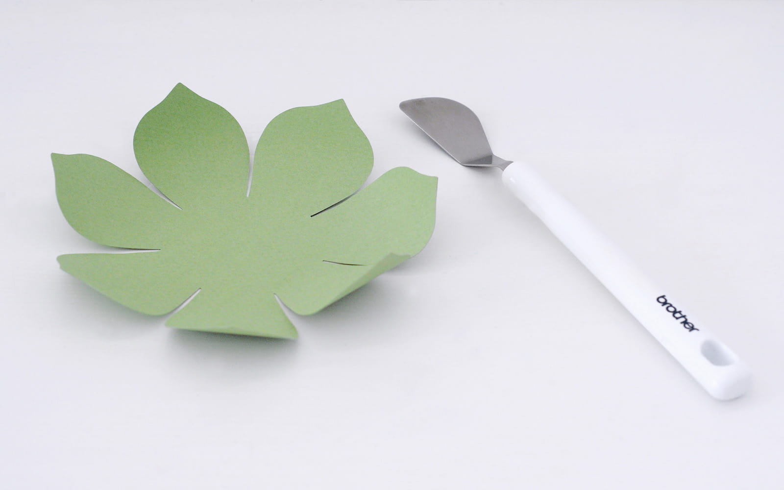 Feuille de succulente en papier et une spatule sur fond blanc