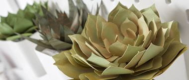 Paper Succulents on white background